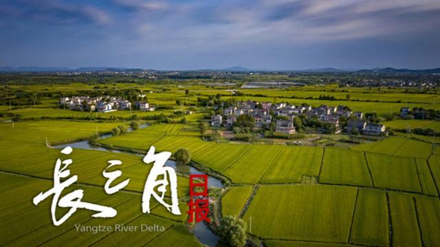 【长三角日报】“苏超”第四周赛事,预约购票提前